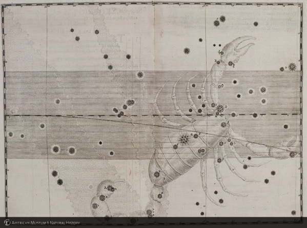 25cdf053cd5f8ca1eac896927bf0fb30.jpg 25cdf053cd5f8ca1eac896927bf0fb30