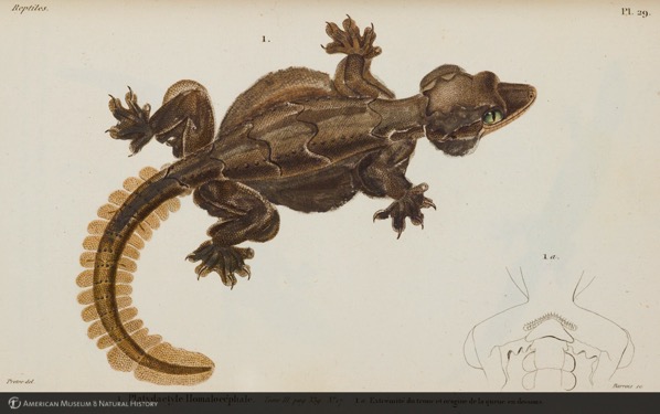 b674b5613dc370fd19ae14ac7db405a3.jpg B674b5613dc370fd19ae14ac7db405a3