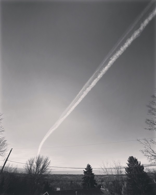 Photo Apr 20 7 27 33 AM