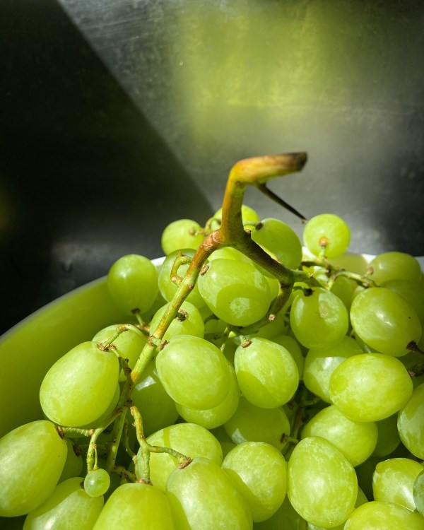 Photo Jun 07 3 28 14 PM