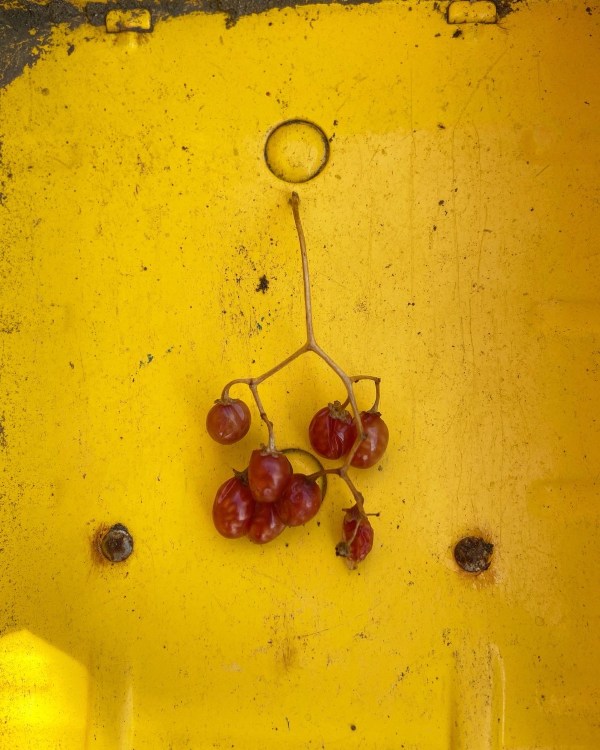 Photo Mar 31 8 16 00 PM