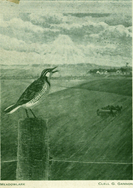 Monosnap  1  North Dakota quarterly v 24 no 2 1956  Full View | HathiTrust Digital Library 2023 09 21 07 24 35